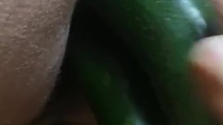 Cocomero anal..........