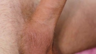 Beauty sucks and licks balls