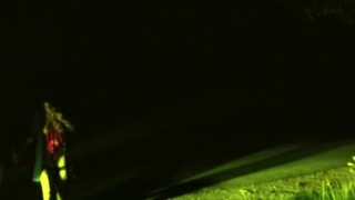 Dominant males have an important duty of care towards the dumb mindless whores