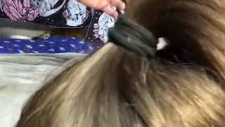 Submissive Slut Sucks Cock Gets An Explosive Cumshot In Silky Hair