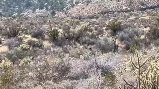 Hiking and Fucking While wearing thongs