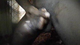 Big dick cum inside nylon