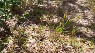 I swear I'm over ití