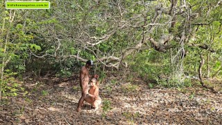 strange to help me go upstairs so I can give him a blowjob