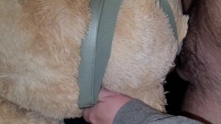 Cumming on my Teddy Bears ass