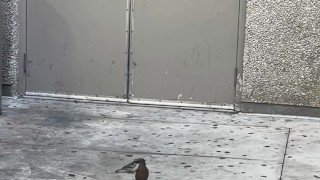 TikTok MiamiWorld1 — How Not To Litter ( Anti-Littering Commercial)