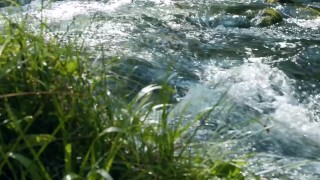 Sensual Symphony: 4K Nature Escapes