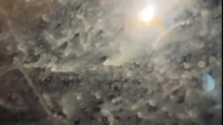 Collab with Alter Pinay from Twitter