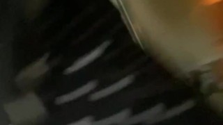 DameDeenaBlackCat