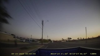 Bird Attacks My Truck