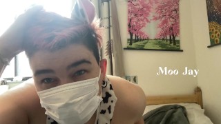 Am I a cute chubby cow? Do you want some milk?