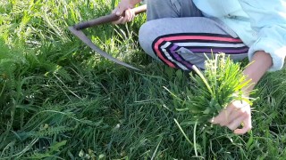 I fucked a village girl neighbor in a barn while no one saw - IkaSmokS