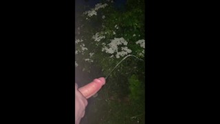 Pulled up in lay-by desperate to wank big cock and piss