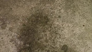 Quick piss outside my apartment