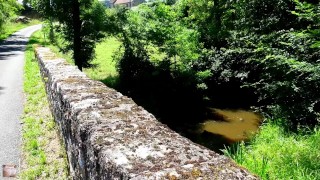  NEIGHBOR OUTDOOR AT THE RIVER