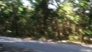 Taking a piss on a mountain road