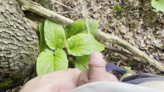Cute Tiny Dick Pissing in the Woods [Amateur HD POV]