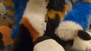 good kitty fucks the cum out of the bad dog then cums hands free