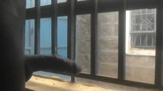 ALMOST CAUGHT JERKING OFF THROUGH THE WINDOW