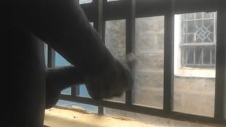 ALMOST CAUGHT 😮 PUBLIC JERKING THROUGH THE WINDOW😮😮