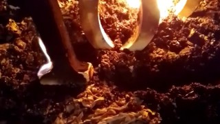 💋💋💋 100 Days Until Registration Opens!