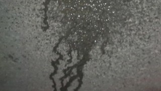 Peeing on a road at 3am