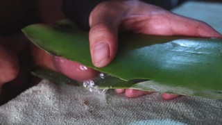 masturbandome con aloe vera hasta sacar mi leche espesa