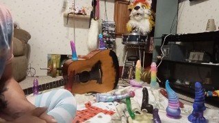 Dragon toys and sprinkles