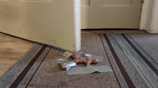 All Day as a Giant's Doormat!