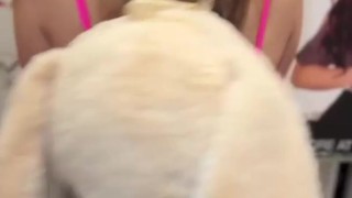 Brunette Babe Penelope Kay With Her First Avn Experience