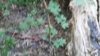 We caught our neighbor masturbating against a tree and we started masturbating too - IkaSmokS