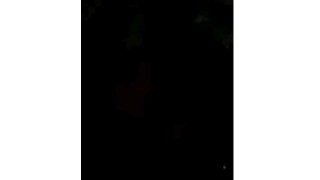 Lo que pasa a la noche en el monte