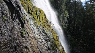 Come with Me While I Pee