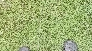 Another long pissing video