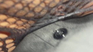 Estoy con mi novio encima del jacuzzi y dejo que la he he dentro de mi coño: Luu_sell