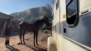 I dream of saving horses by sucking dick in my first even glory hole.