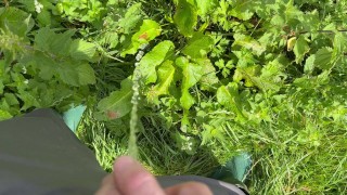 All day peeing compilation