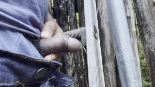 Pissing on top of a ladder while working in the jungle