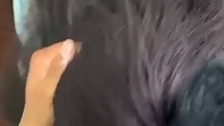 She sucked my dick so hard and later fucked me so hard