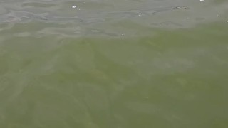 Surfer Girl show my Pussy on the public beach