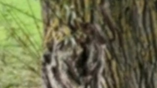 Courtney Sins - Blonde Milf Getting Naked in Public