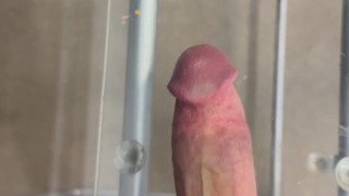 Pressing my Cock on Furniture