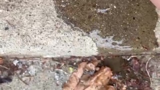 close up piss on the steps