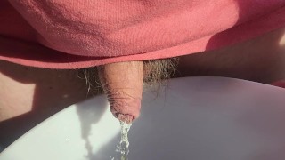 Pissing in the kitchen