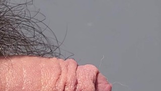 Close up peeing in the kitchen