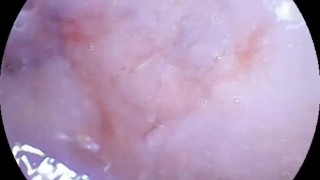 Camera dildo after a rough fuck and cream filling