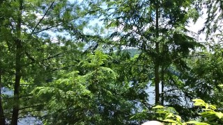 Getting Hard By The Lake