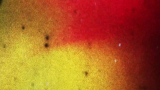 BRAZILIAN TRANSSEXUALS - Wild Fuck With Alice & Milena