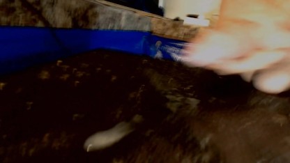 New and Old Cumshot Compilation clips, nothing but cum