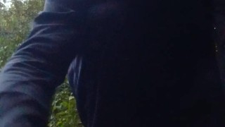 Un Pajaro en el monte